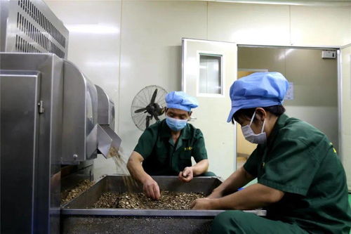 李茂濤深入重點工業企業走訪調研，聚焦技術交流與創新發展